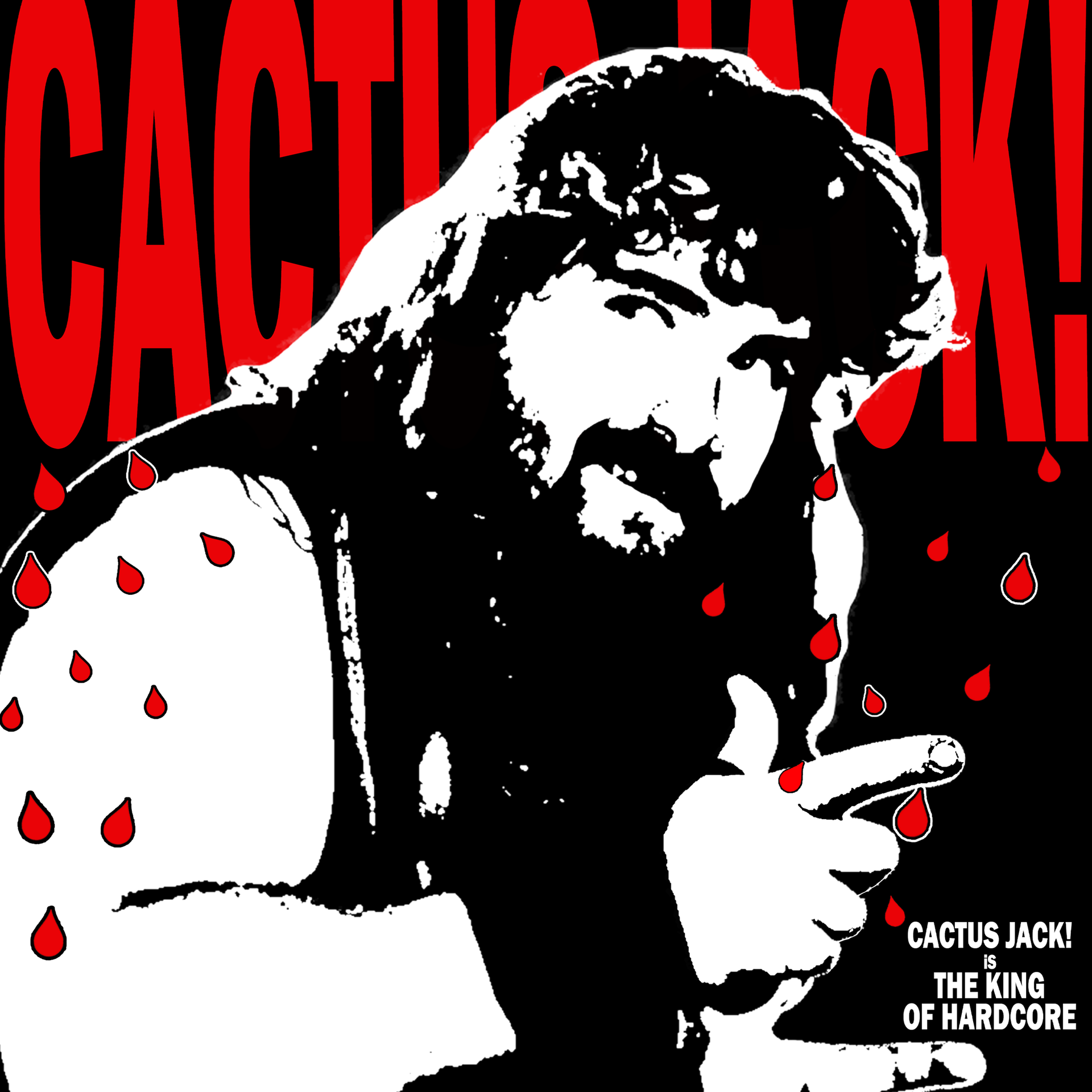 CACTUS JACK Sticker – Three Falls Brand